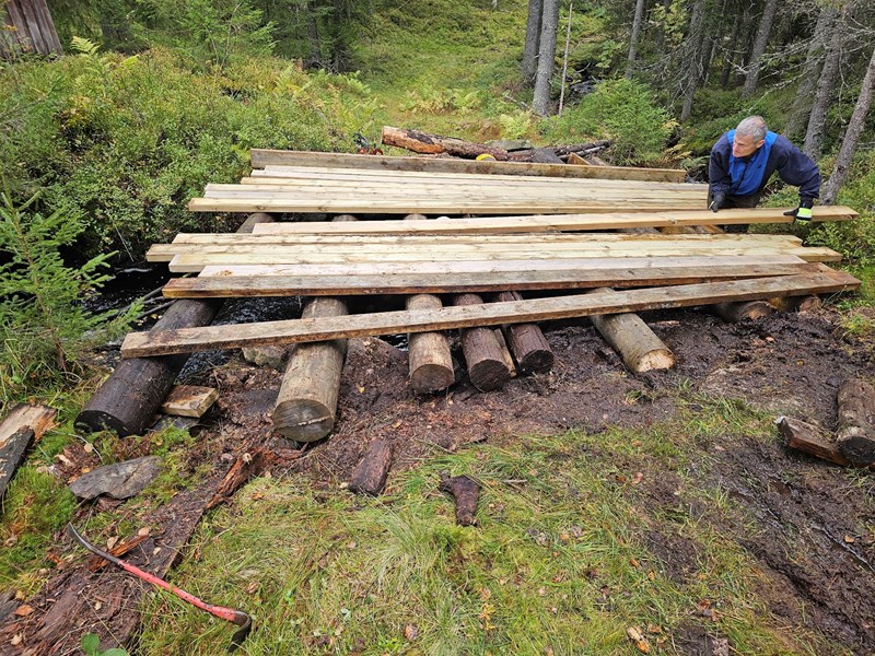 Foto: Lars Petter Fjeld Foto: Lars Petter Fjeld