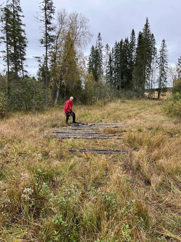 Arild kavler i myra. Foto: Tore Broholt Arild kavler i myra. Foto: Tore Broholt