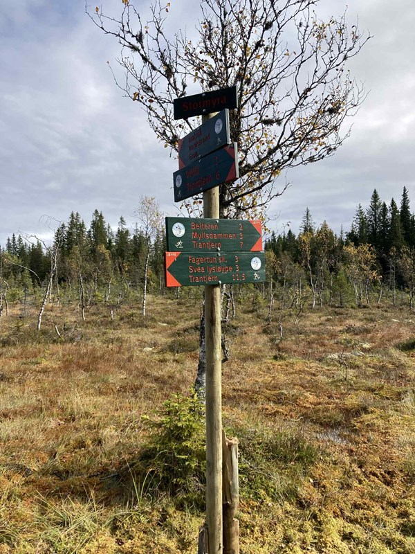 Ny fin skiltstolpe på Stormyra. Foto: Hege Marie Haakenstad Godli Ny fin skiltstolpe på Stormyra. Foto: Hege Marie Haakenstad Godli
