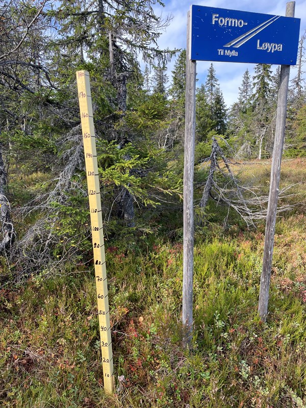 Med tusj på tur, målestavens tall og streker oppfrisket så vi har kontroll på snødybden. Foto: Lene Li Dragland Med tusj på tur, målestavens tall og streker oppfrisket så vi har kontroll på snødybden. Foto: Lene Li Dragland