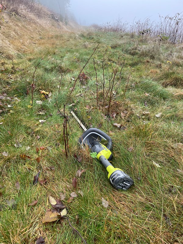 Med hekksaks i Kanalløypa der bringebærene og smågran vokser inn i løypa. Foto: Lene Li Dragland