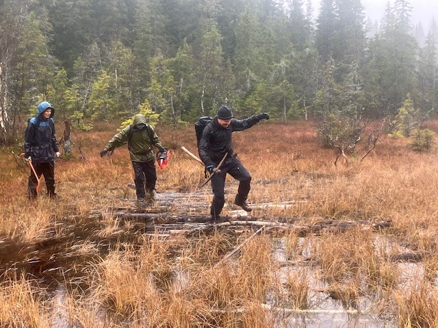 Våt dugnad for Arne, Lars og Pål i Grønntjernløypa. Foto: Thorvald Grung Moe