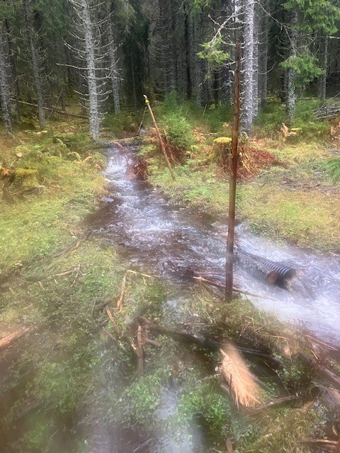 Vannmengdene flommer på alle kanter av dreneringsrørene i Grønntjernløypa. Foto: Thorvald Grung Moe