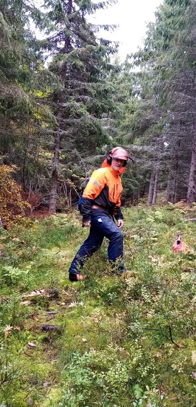 Olaf Godli i nye Bislingløypa, nederste del. Foto: Hege Marie Godli