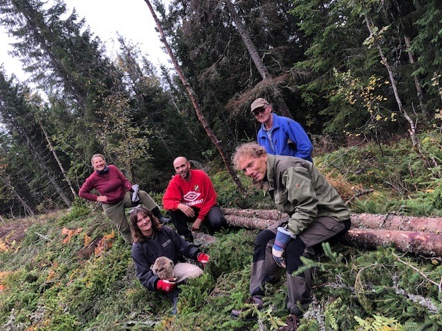 Eirik Formo, Jakob Skogseid, Thorvald Grung Moe, Arne Bergan Andersen og Margarethe Wiese bukserer stokken på plass i Formoløypa. Foto: Hanne Skancke Svensson