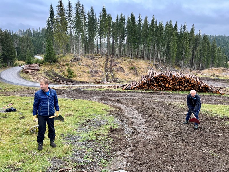 John Sletten og Harald Gløersen rydder etter tømmerhogsten nord for Svea. Foto: Anne Kvisgaard Gløersen