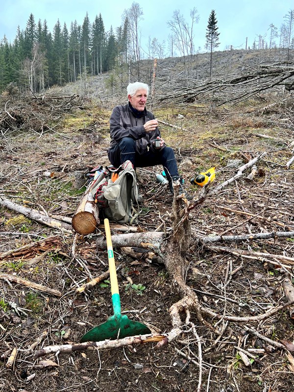 Velfortjent rast for Øivind Holum midt i kvisthaugene etter tømmerhogsten nord for Svea. Foto: Anne Kvisgaard Gløersen