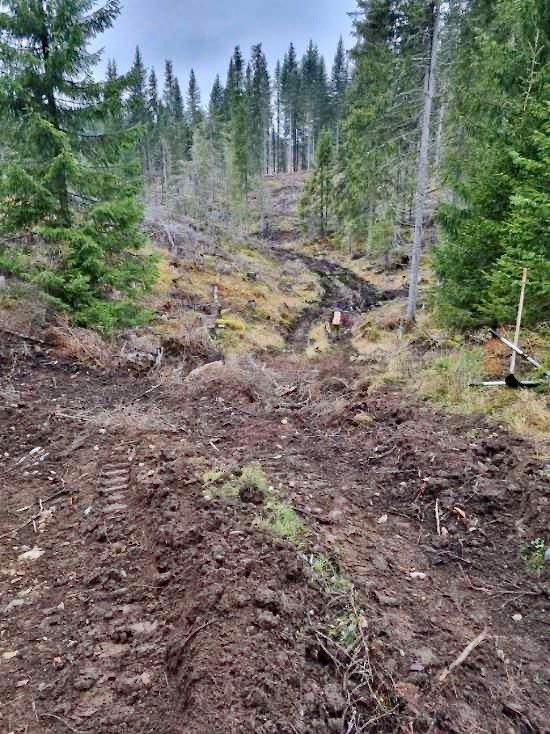 Løypene ser ikke gode ut etter tømmerhogst i løypa fra Vollavegen og sørover Foto: Nina Rodum