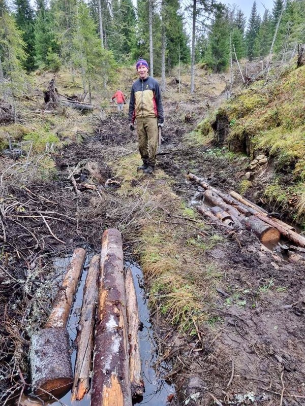 Bent Rodum rydder etter tømmerhogst i løypa fra Vollavegen og sørover Foto: Nina Rodum