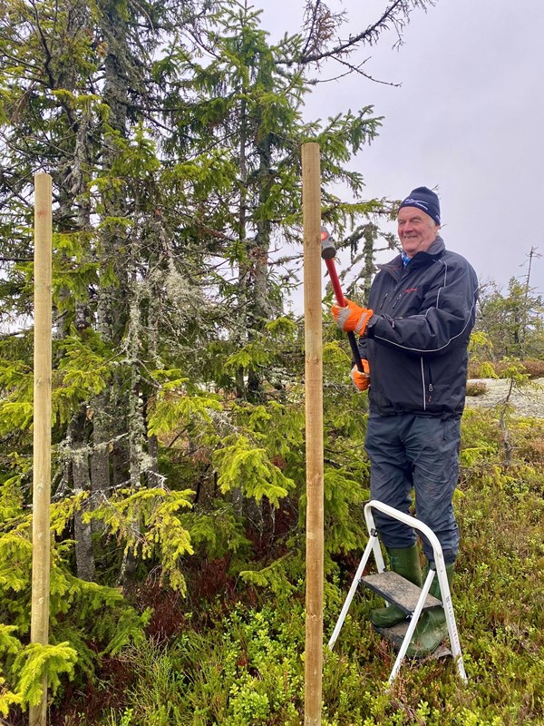 Ved løypestart på Bislingflaka satte Arild Bernstrøm og Skiltmaker Sverre Sjøblom opp staur for. Her kommer nytt kart etterhvert… Foto: Sverre Sjøblom