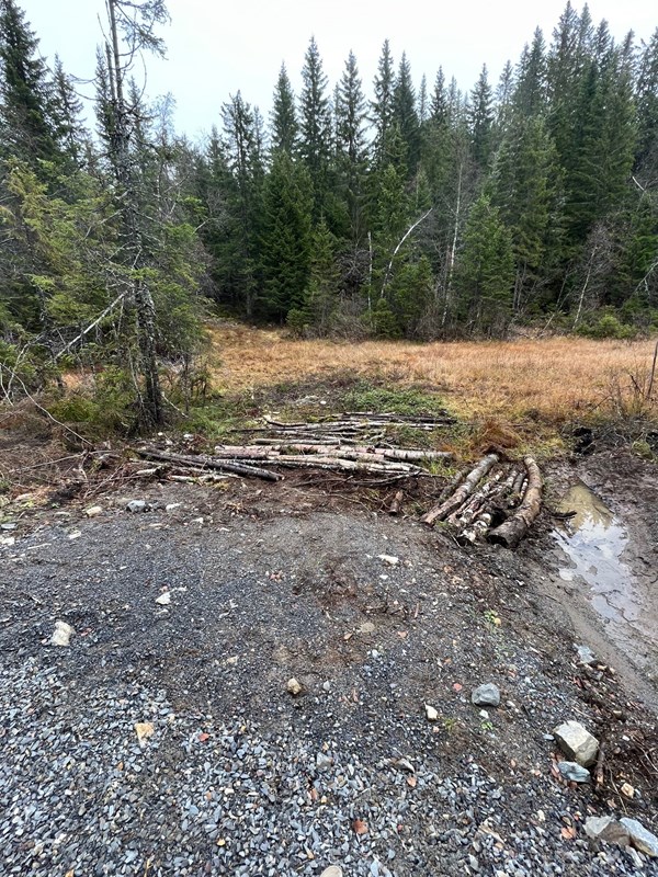 Flott innsats både med treet over løypa kavling i Myra og hogst, rydding og kavling ved kryssingen opp mot Elgkollen.  Bilder viser resultatet på den siste plassen. Foto: Terje Ermesjø