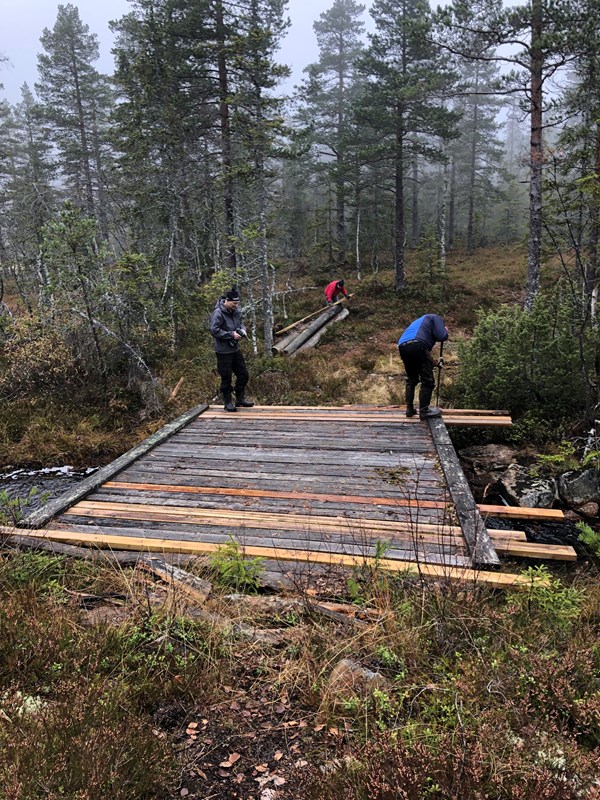 Lars Petter Fjeld, Terje Stensberg og Ragnar Bang Huseby reparerer bru i Grønntjernløypa Foto: Tore Heldrup Rasmussen