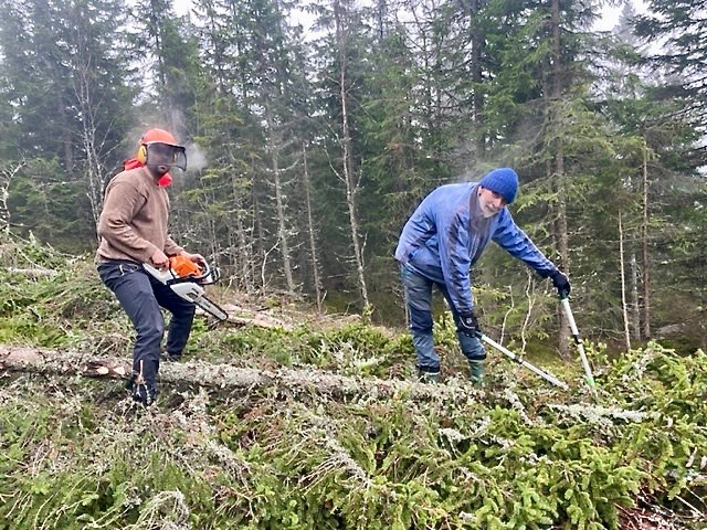 Erik Formo, Harald Martinsen, Ole Tvete, Eivind Godli, Dugnad i Formoløypa, på oversiden av juvet. Foto: Terje Osmundsen