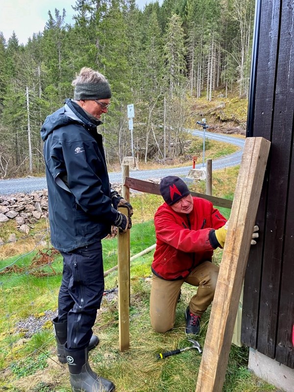 Jakob Skogseid og Johnny Gangsø fikser gjerdet ved Myllagarasjen. Foto: Ellen Furuseth