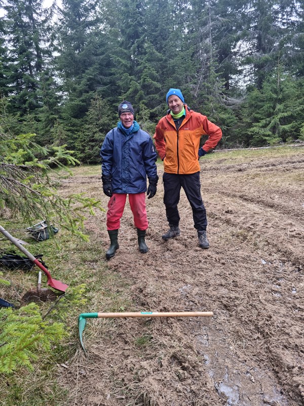 Krafselaget – de som dro ut flishaugene – her Jostein Refsnes og John Sletten der Rundløypa møter Åsjøvegen. Tre store flishauger dratt ut. Foto: Pål Heldrup Rasmussen