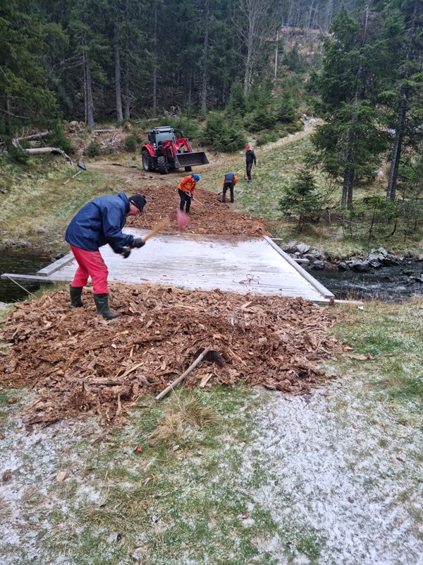 Jostein Refsnes, John Sletten. Olaf Godli og Harald Martinsen sprer flis ved brua over Myllsoset.  Foto: Pål Heldrup Rasmussen