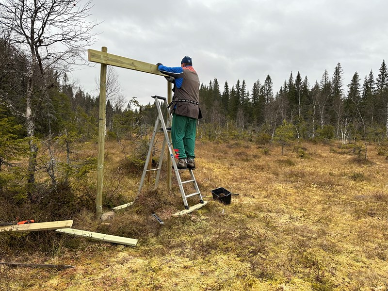 Arnfinn Strålberg snekrer nytt skilt på Stormyra. Foto: Trond Urdal