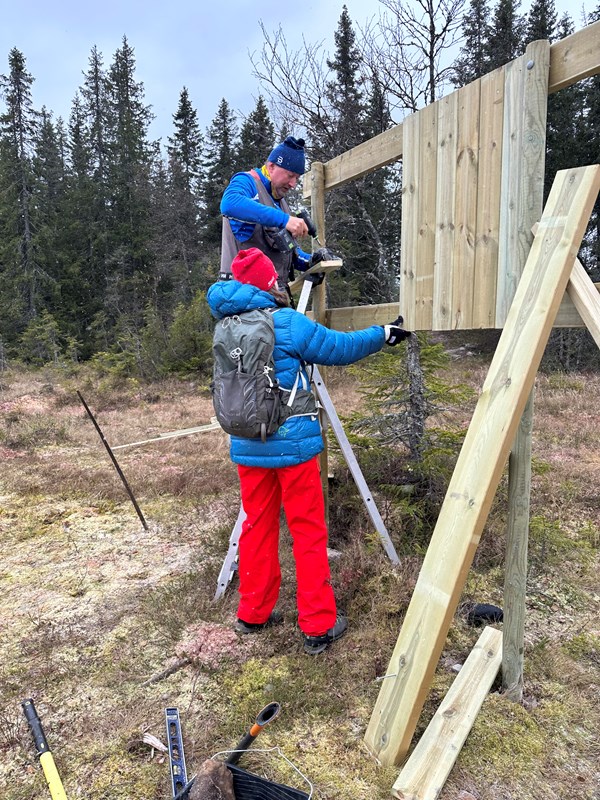 Arnfinn Strålberg og Marit Kopstad lager ny skiltvegg på Stormyra. Foto: Trond Urdal