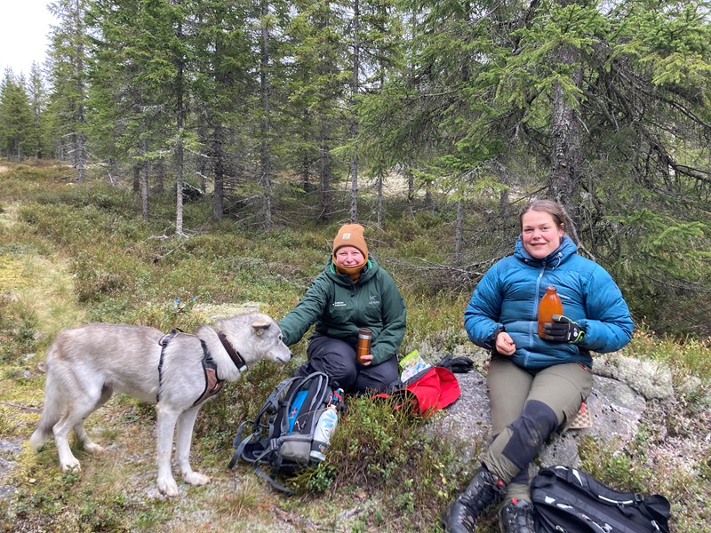 Vilde Haarsaker og Runa Solvang og hunden Skype tar dugnadspause i Siljusæterlia. Foto: Thorvald Grung Moe