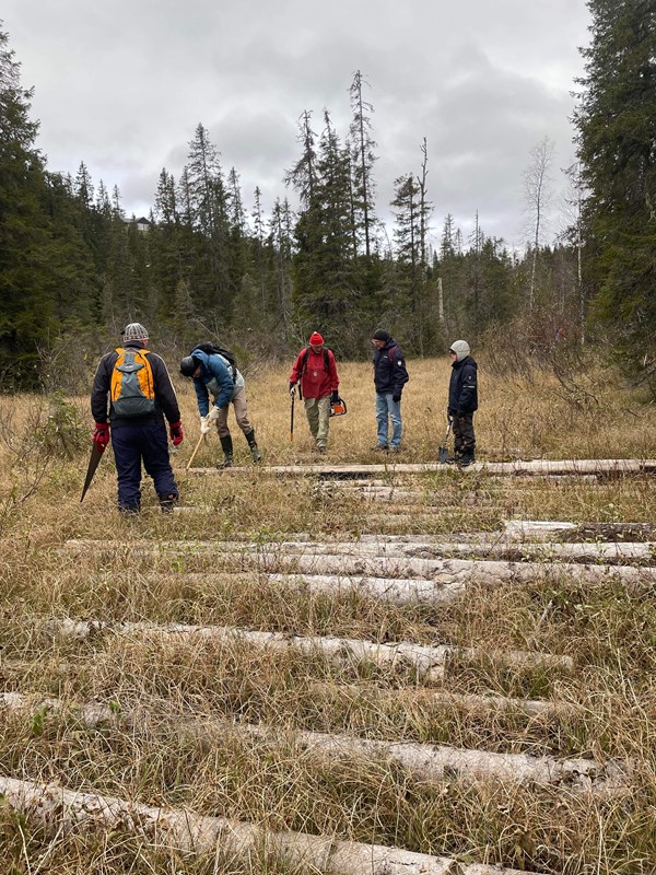 Dugnad ned fra Høgnes mot Vestend. Flott lag på 12 mann som stilte fra Myllalia, øvre Ohren og Høgnes. Arild Schultz med motorsag, Aksel Hansen (11) med spade. Foto: Øyvind Huse