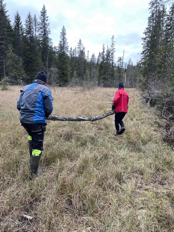Kavling nedenfor Høgnes i løypa mot Vestend. Foto: Øyvind Huse