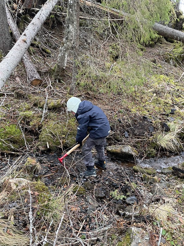 Aksel Hansen (11) rydder i bekken ved løypa ned mot Vestend. Foto: Øyvind Huse