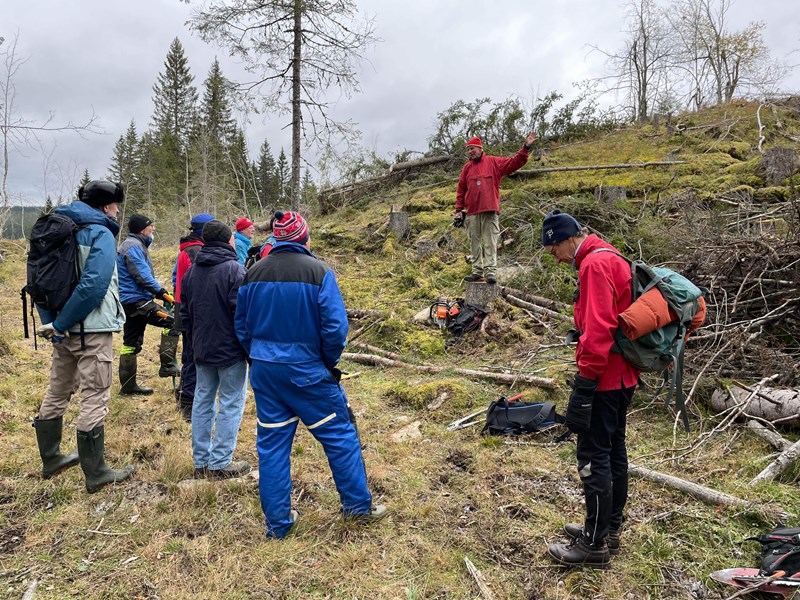 Motorsagsjefen sjøl: Arild Schultz instruerer dugnadsgjengen fra Myllalia, øvre Ohren og Høgnes: Tore Hansen   sønn Aksel 11 år, Tore Broholt, Finn Hammer, Halvor Bru, Halvor Ulven, Trond Jordal, Jon Arnt Jacobsen, Per Flaata og Ola Igland Foto: Øyvind Huse