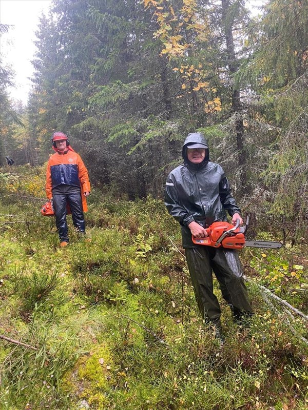 Tore H. Rasmussen og Olaf Godli rydder i nygammel løypetrase ned fra Bislingen. Foto: Sverre Sjøblom