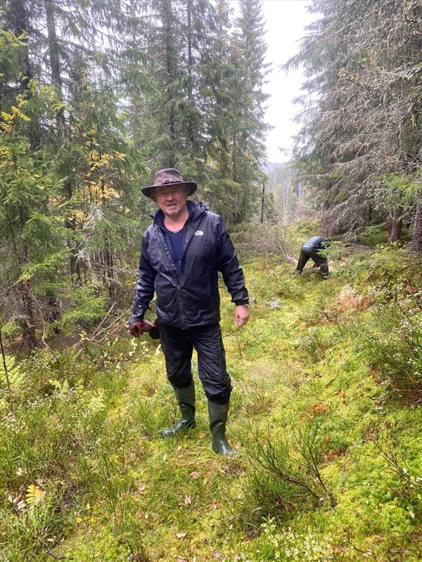 Sverre skiltmaker og Tore Heldrup Rasmussen rydder vei i den nye traseen som vil gå over det nye hogstfeltet i en bue – blir flott utsikt i avslutningen av traseen. Foto: Hege Marie H. Godli.