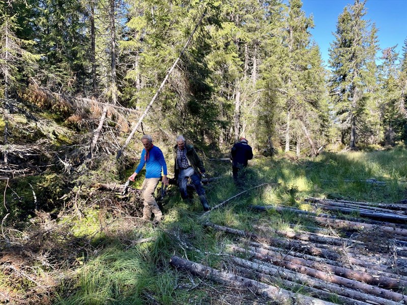 Kavling i Rundløypa: Mange stokker trekkes på plass av Anders Heger, Sigurd Bjørnstad og Thomas Knutzen. Foto: Lene Li Dragland