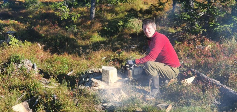Trond Faanes skjærer ned stubber så sagkjedet ryker. Foto: Lars Petter Fjeld.