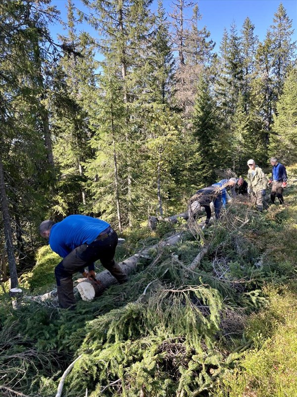 Løypa skrår utover kanten ovenfor juvet i Formoløypa, den tidligere sikringen forbedres av Eirik Formo, Frederik Zimmer, Anders Heger, Sigurd Bjørnstad, Morten Juell og Ragnar Bang Huseby. Foto: Lene Li Dragland