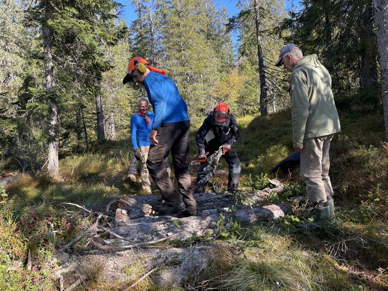 Stokker legges mellom stein i Formoløypa. Anders Heger, Eirik Formo, Harald Martinsen og Morten Juell. Foto: Lene Li Dragland