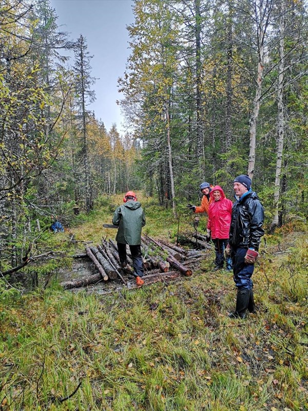 Øystein Sundelin fjerner småtrær i Rundløypa/Formoløypa. Mye vann og dype skogsmaskinspor der nå. Foto Mette Jacobsen