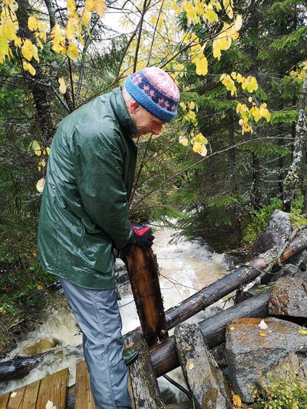 Kjell Jacobsen fjerner råtten plank i den nederste brua i Formoløypa. Stri støm i bekken under etter alt regnet. Foto Mette Jacobsen