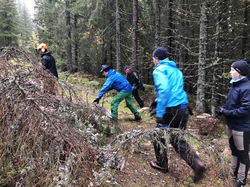 Eirik Formo, Lars Petter Fjeld, Jostein Refsnes og Bo Engdahl fjerner vindfall i løypa i Vesend. Foto: Heidi Løchen