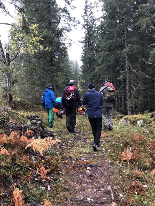 Lars Petter Fjeld, Bo Engdahl, Eirik Formo, Rikke Løchen Engdahl og Carl-Fredrik Eckbo Røøk vandrer avgårde i høstskogen, tungt lastet med høvelige redskaper. Foto: Heidi Løchen